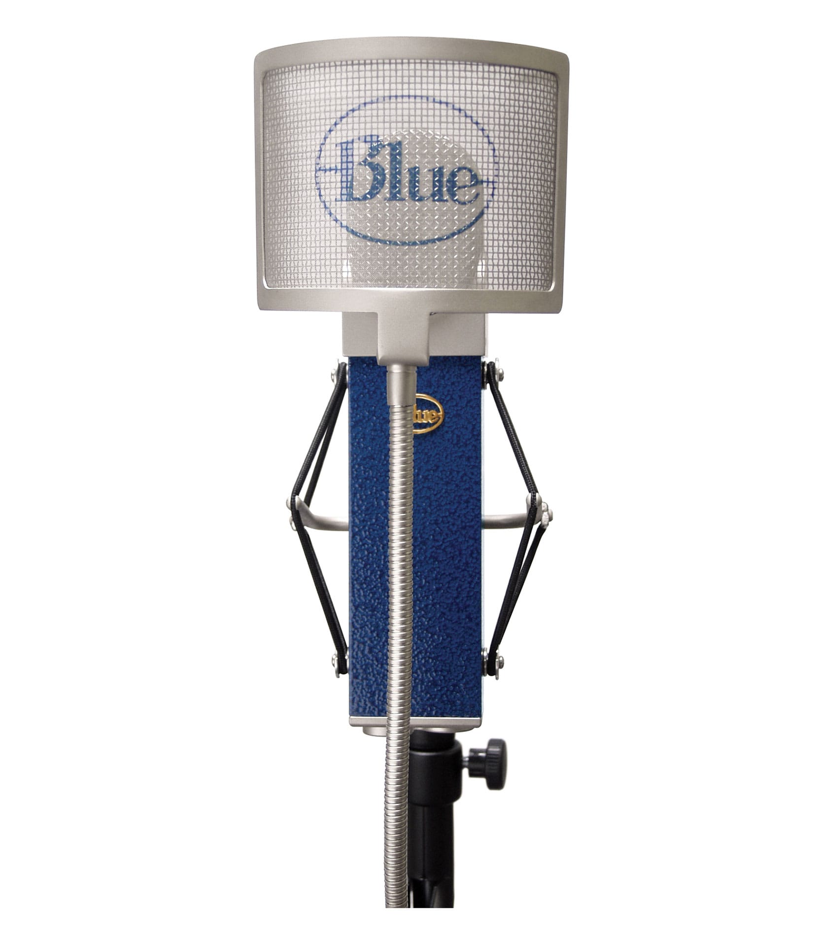 Blueberry - Blueberry - Melody House Dubai, UAE