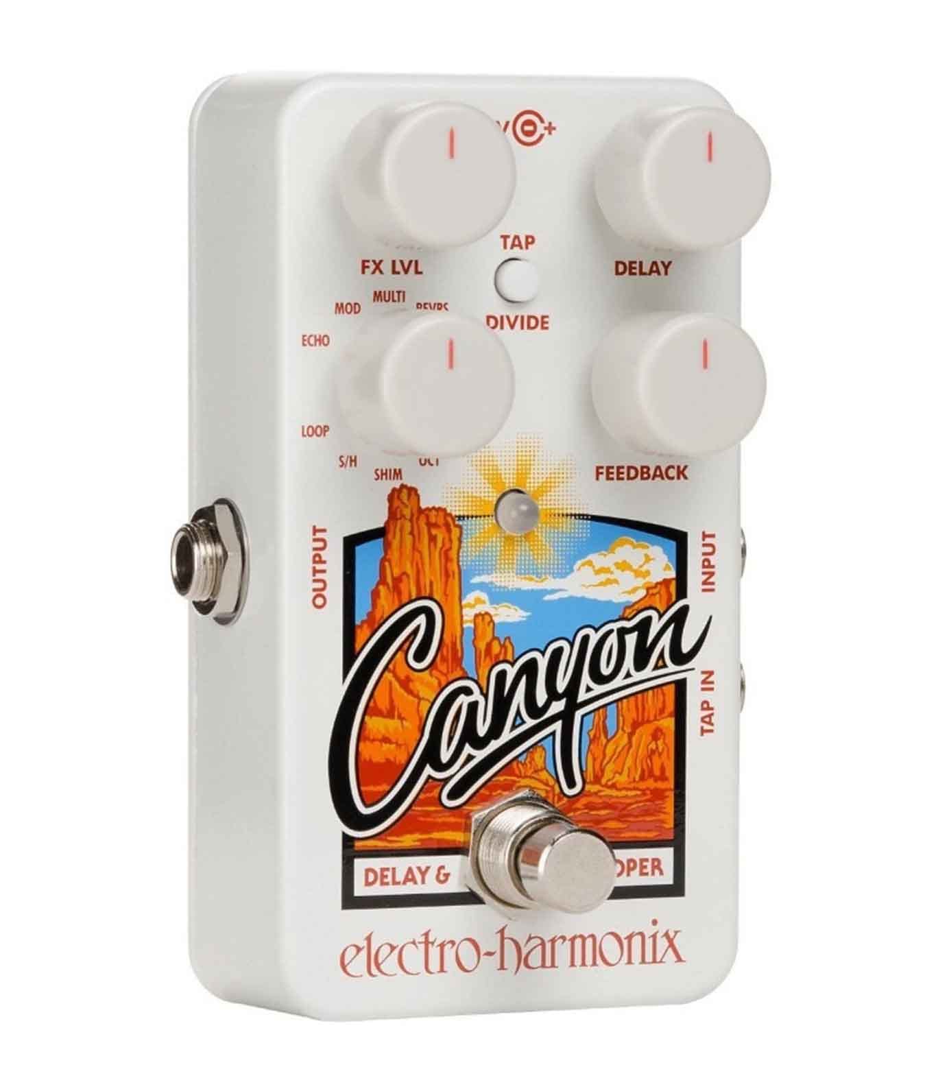 Canyon Delay Looper Pedal - Canyon - Melody House Dubai, UAE