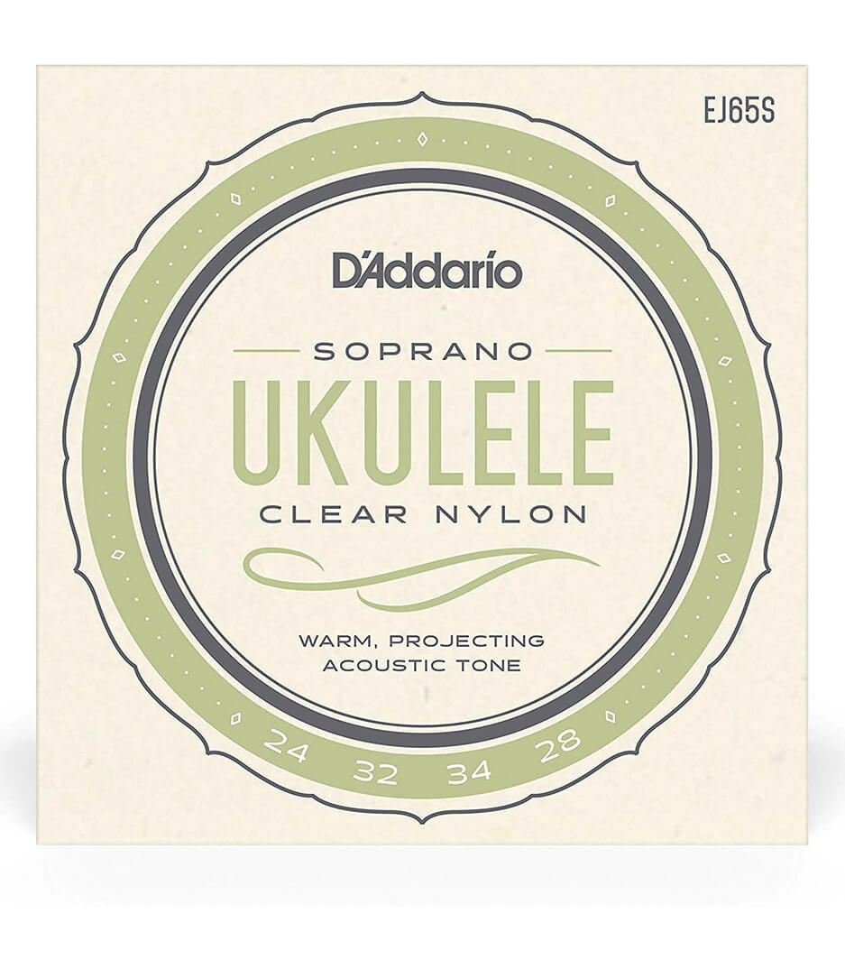 D'Addario - EJ65S