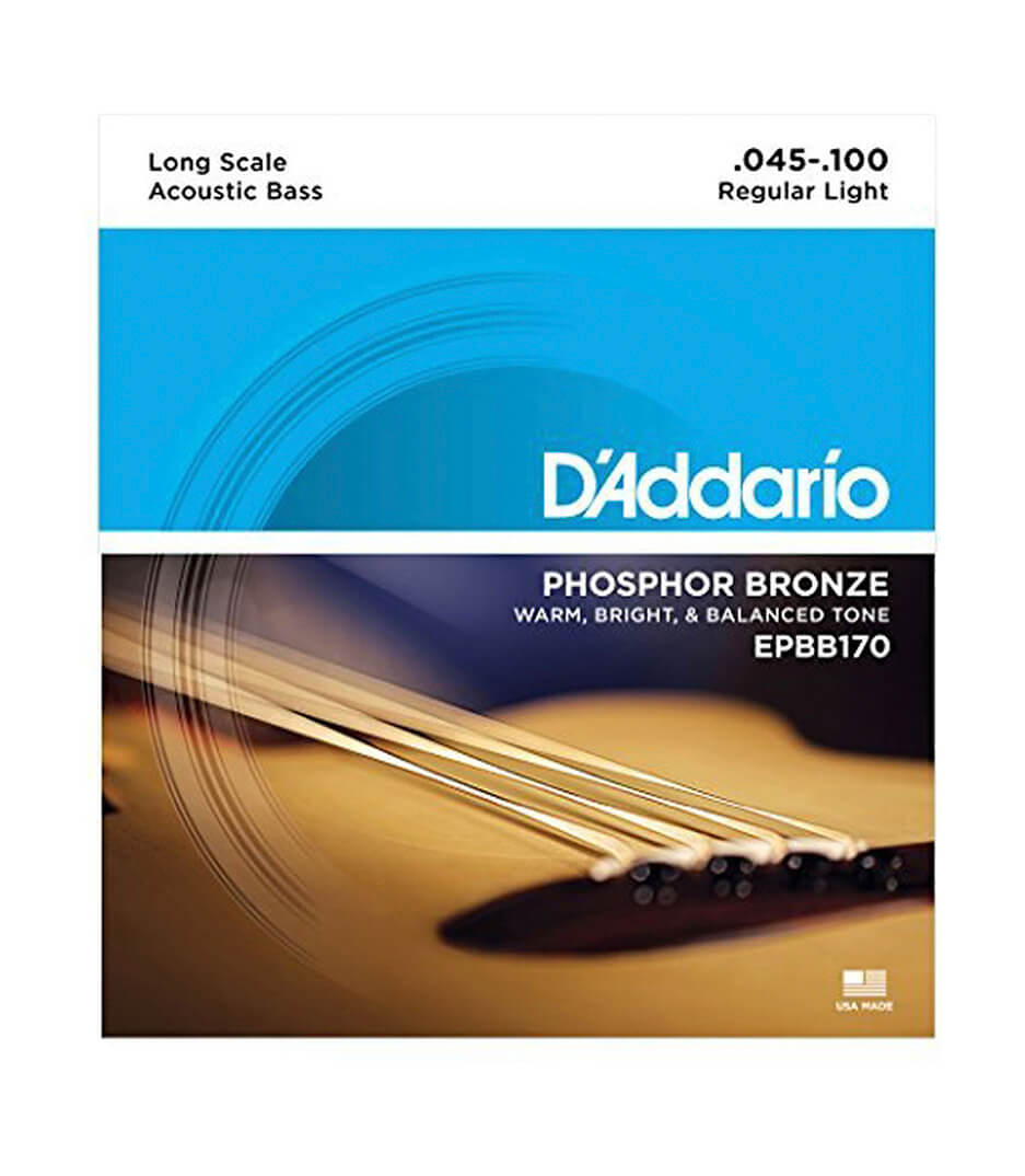 buy d'addario epbb170