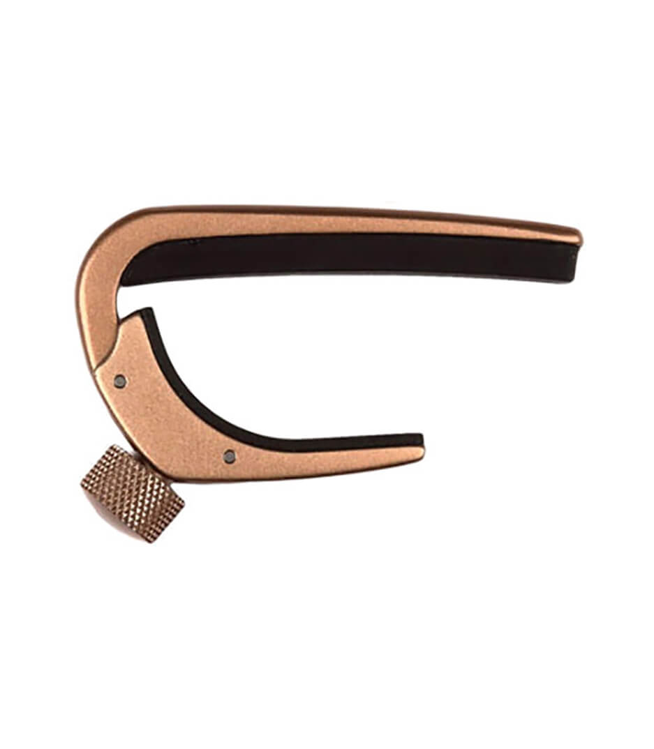 D'Addario - PW CP 02MBR