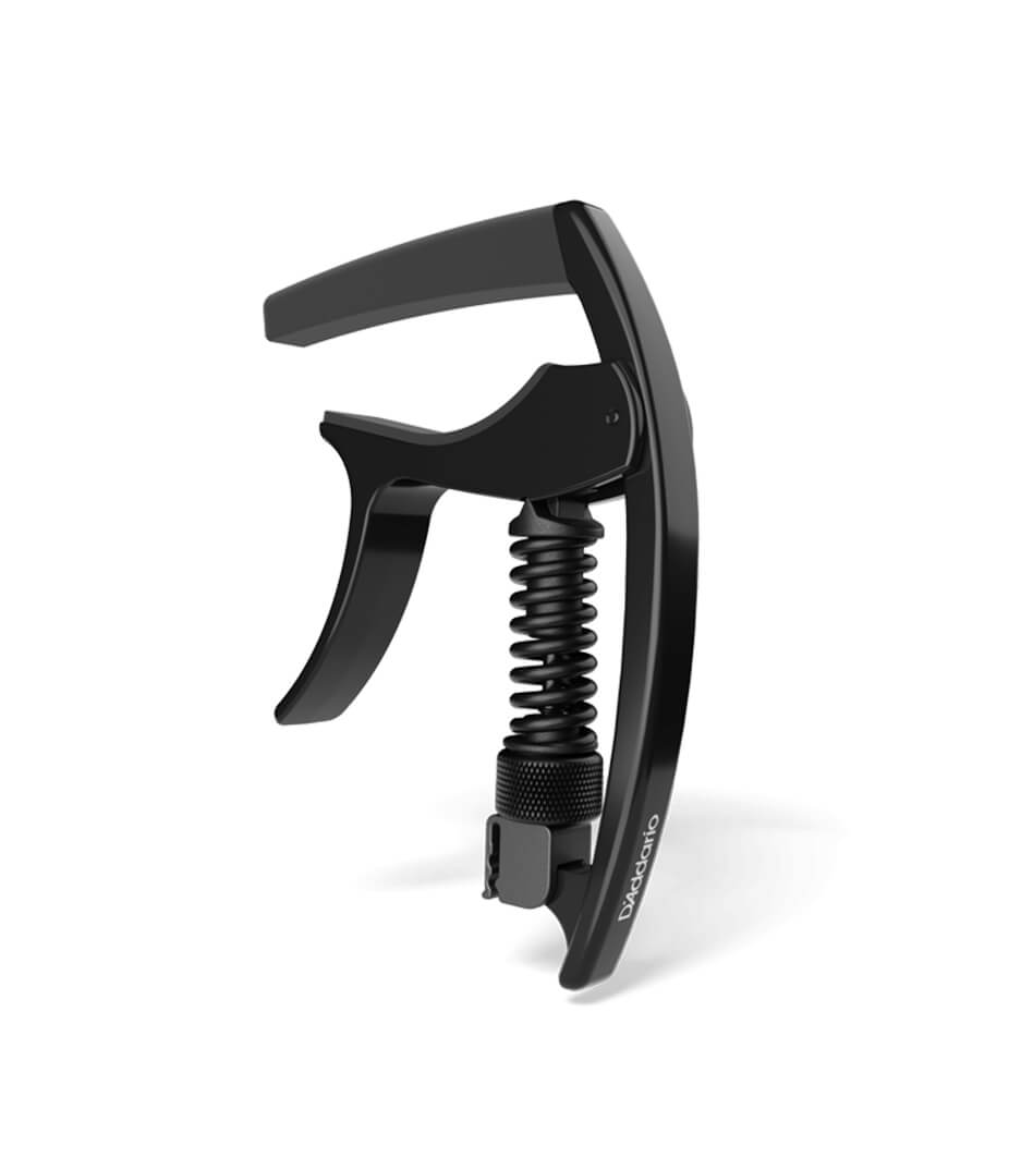 D'Addario - PW CP 09