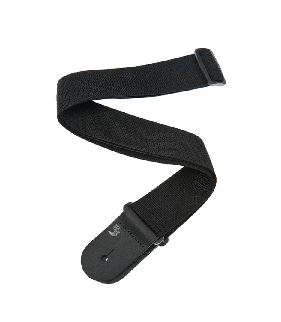 D'Addario - PWS100