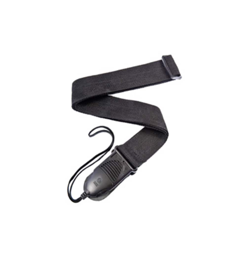 buy d'addario pwspa200