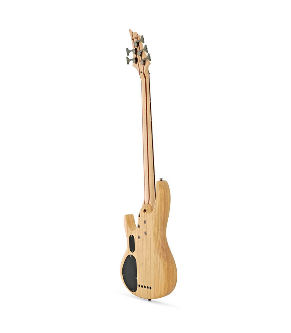 ESP - LB205SMFLNS - Melody House Musical Instruments