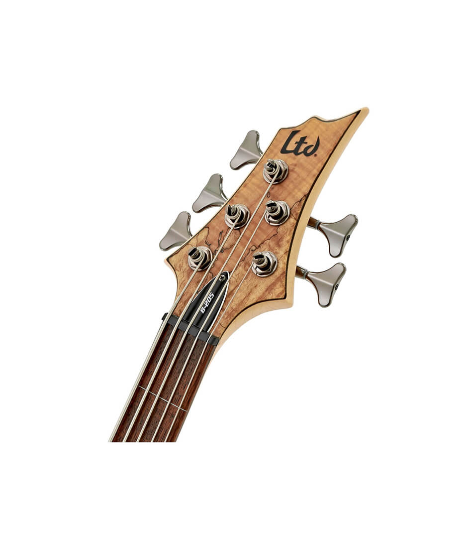 Buy Online LB205SMFLNS - ESP 