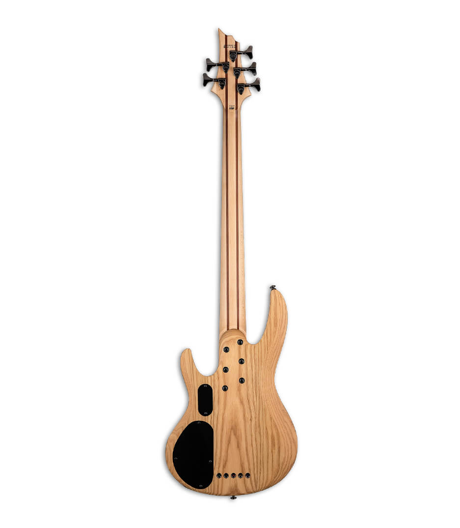 LTD B205SM Series 5 String Natural Satin Finish - LB205SMNS - Melody House Dubai, UAE