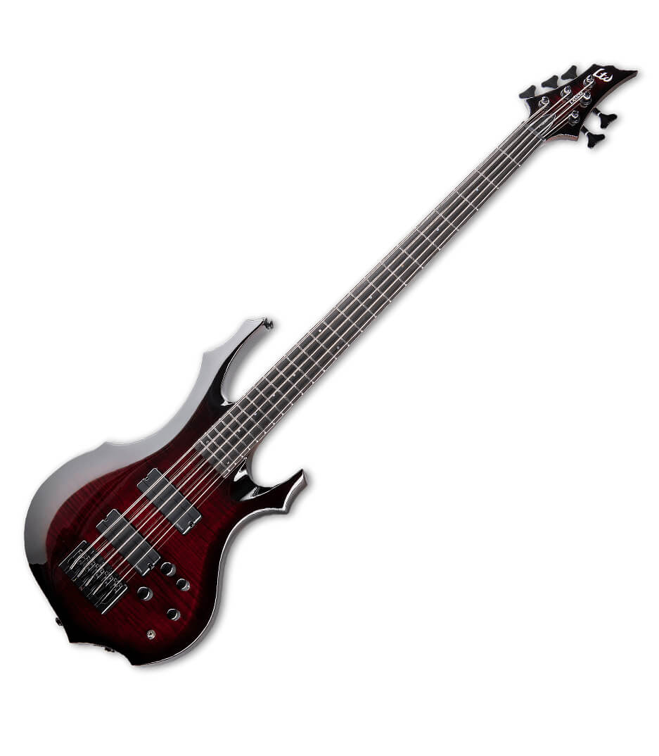 LF1005FMSTBCS LTD F1005 Series 5 String Electric B - LF1005FMSTBCSB - Melody House Dubai, UAE