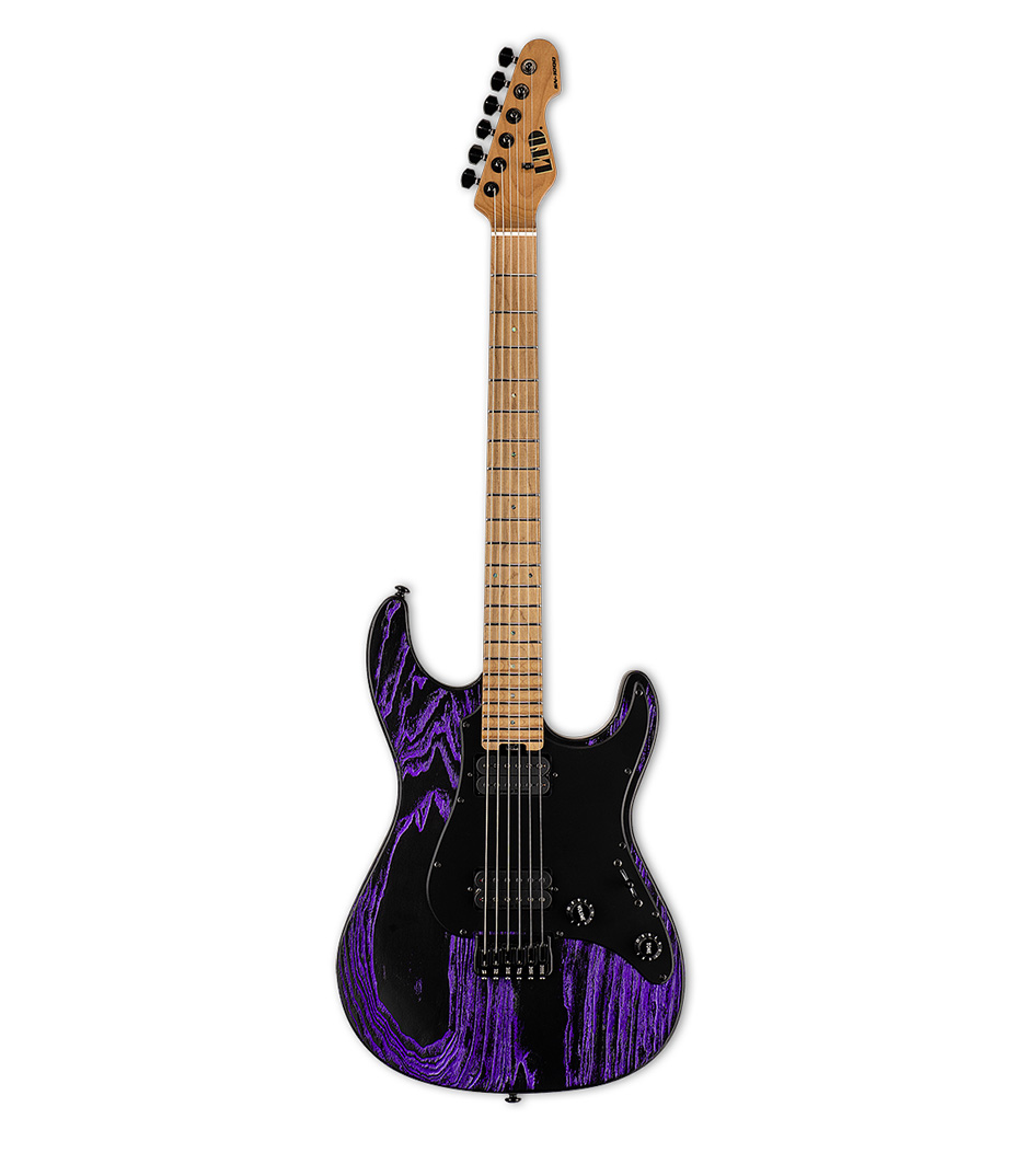 buy esp lsn1000htmpurpblast