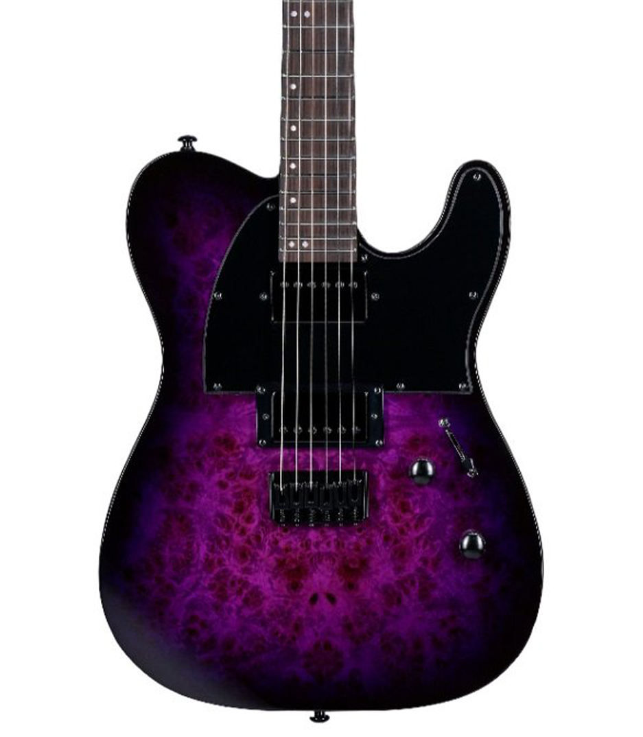 ESP - LTE200DXPRB - Melody House Musical Instruments