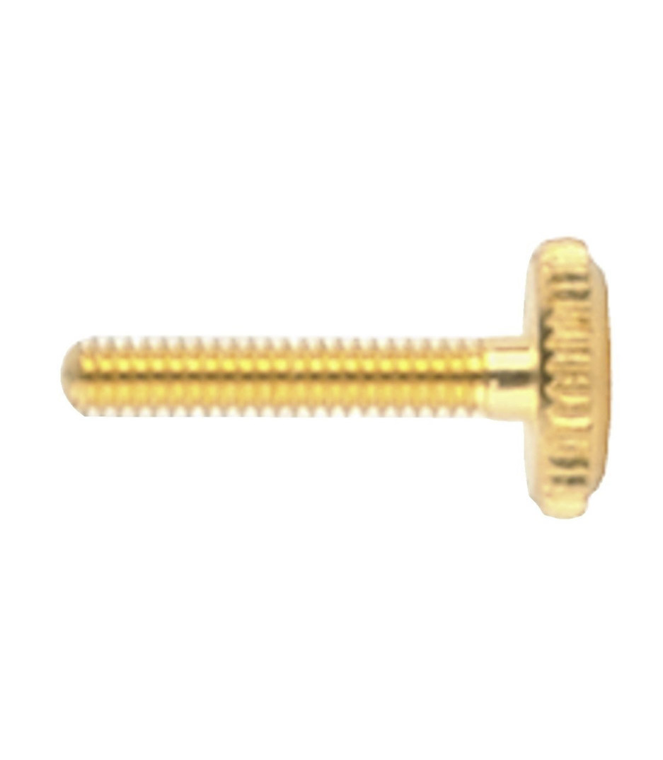 buy gewa 421 754 wittner tailpiece replacement screw for 1