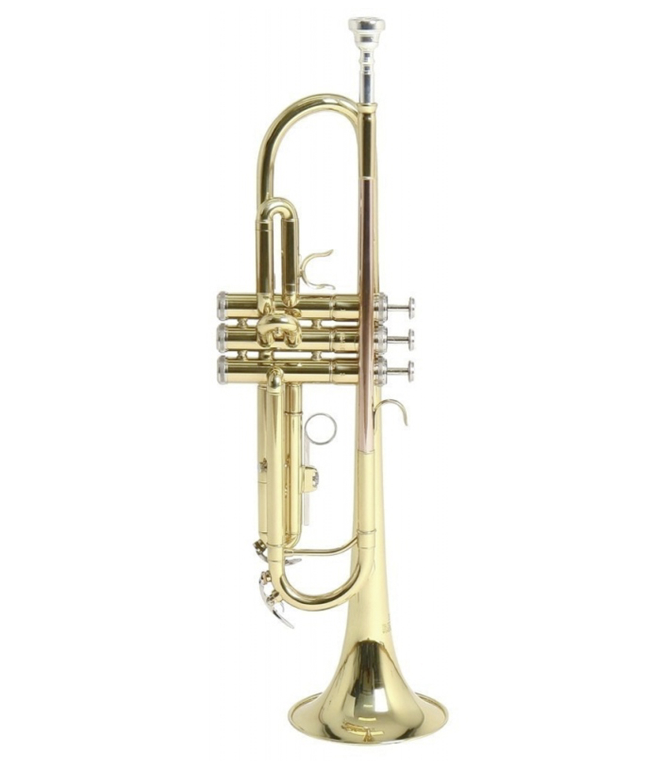 buy gewa bb trumpet roy benson tr 101