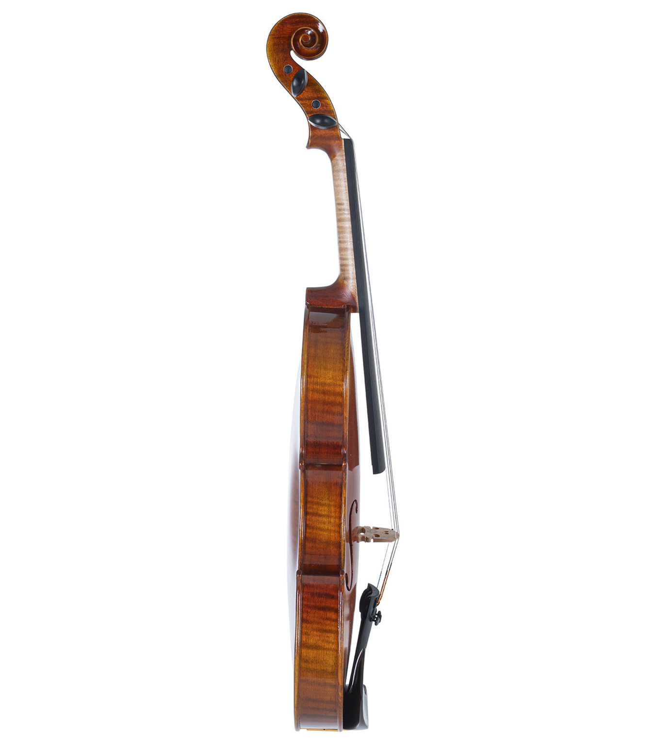 GS4000710000 VIOLIN MAESTRO1 4 4 - GS400.071.000.0 - Melody House Dubai, UAE