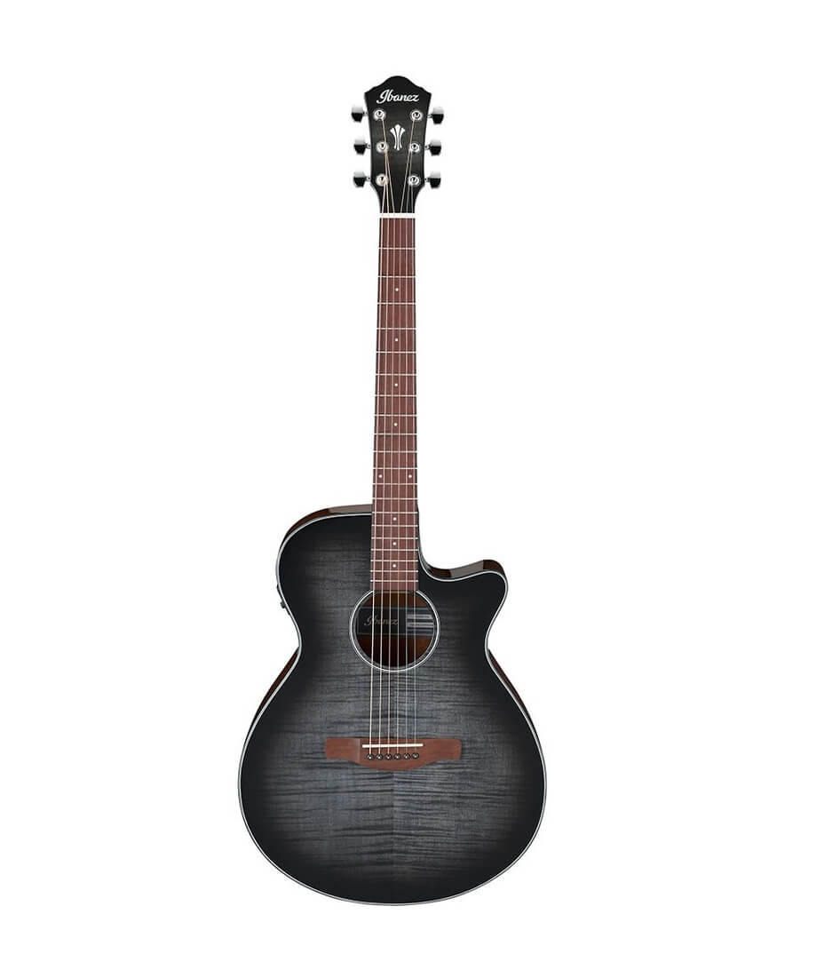 buy ibanez aeg70 tch el guitar