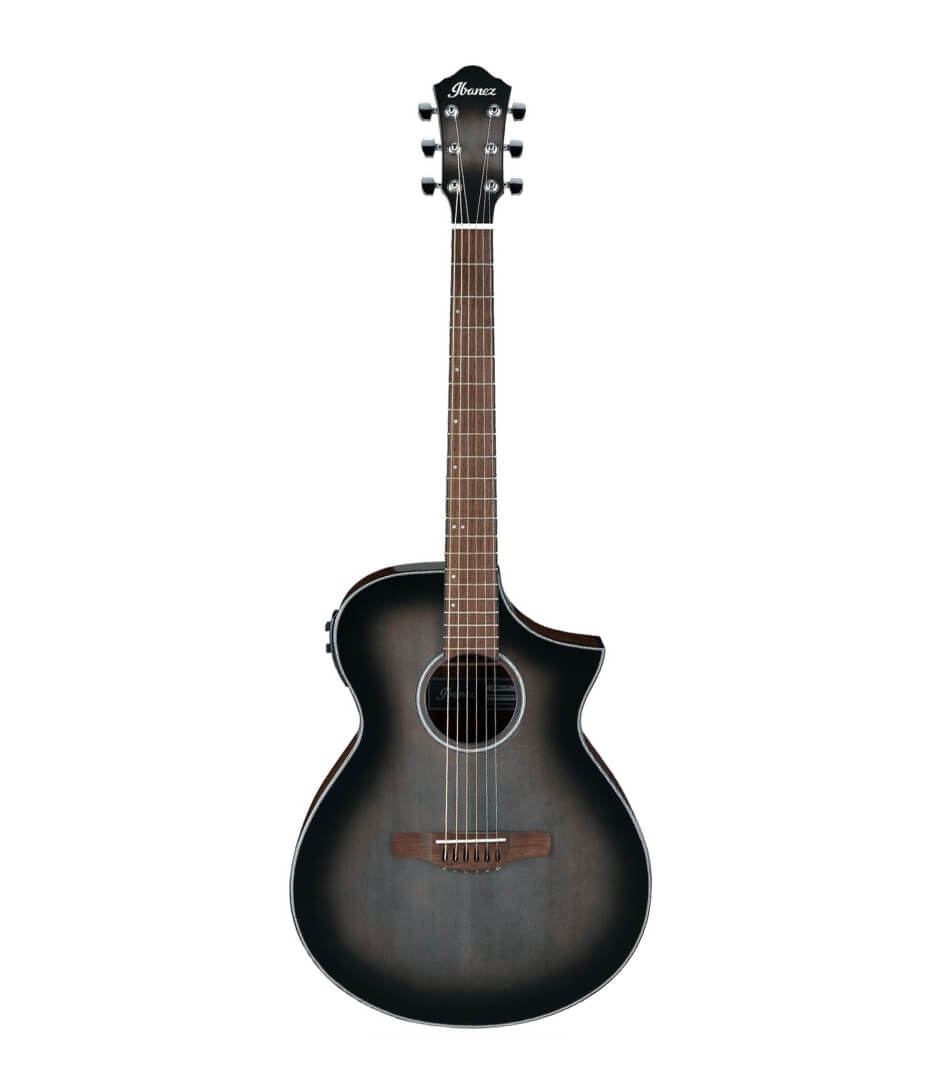 buy ibanez aewc11 tcb el guitar