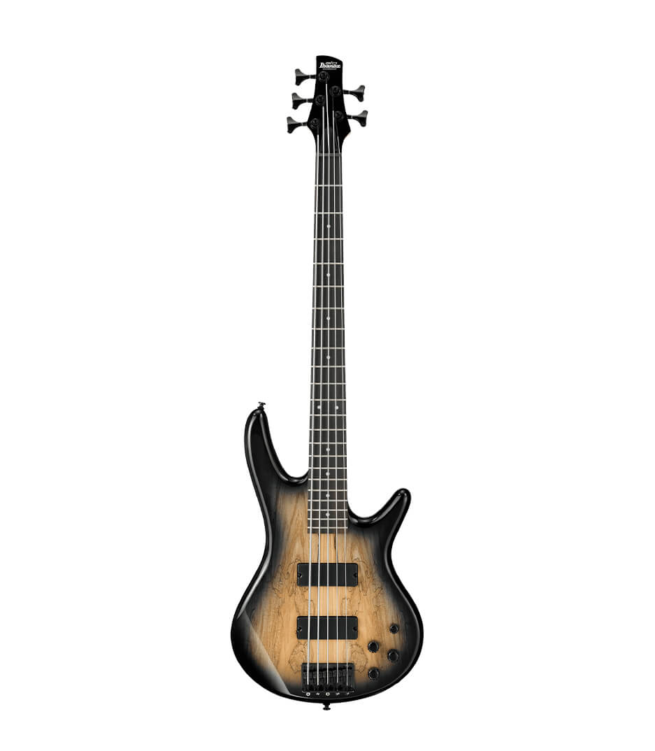 buy ibanez gsr205sm ngt