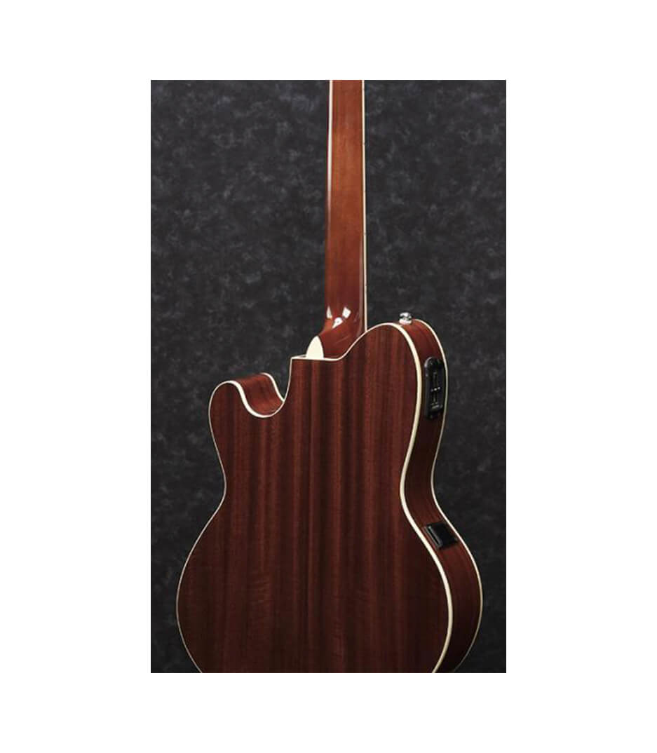 ibanez tcm50 case
