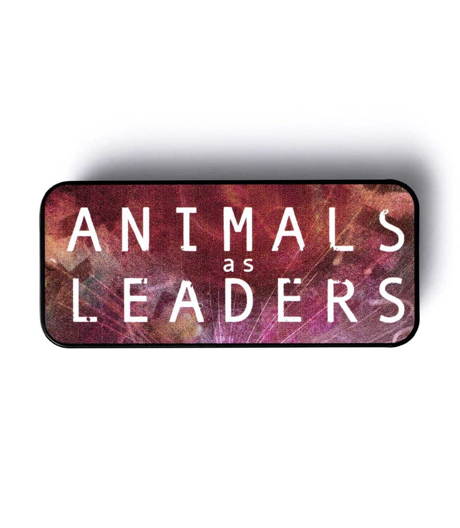 Animal AS Leaders Picks Tin - AALPT01 - Melody House Dubai, UAE