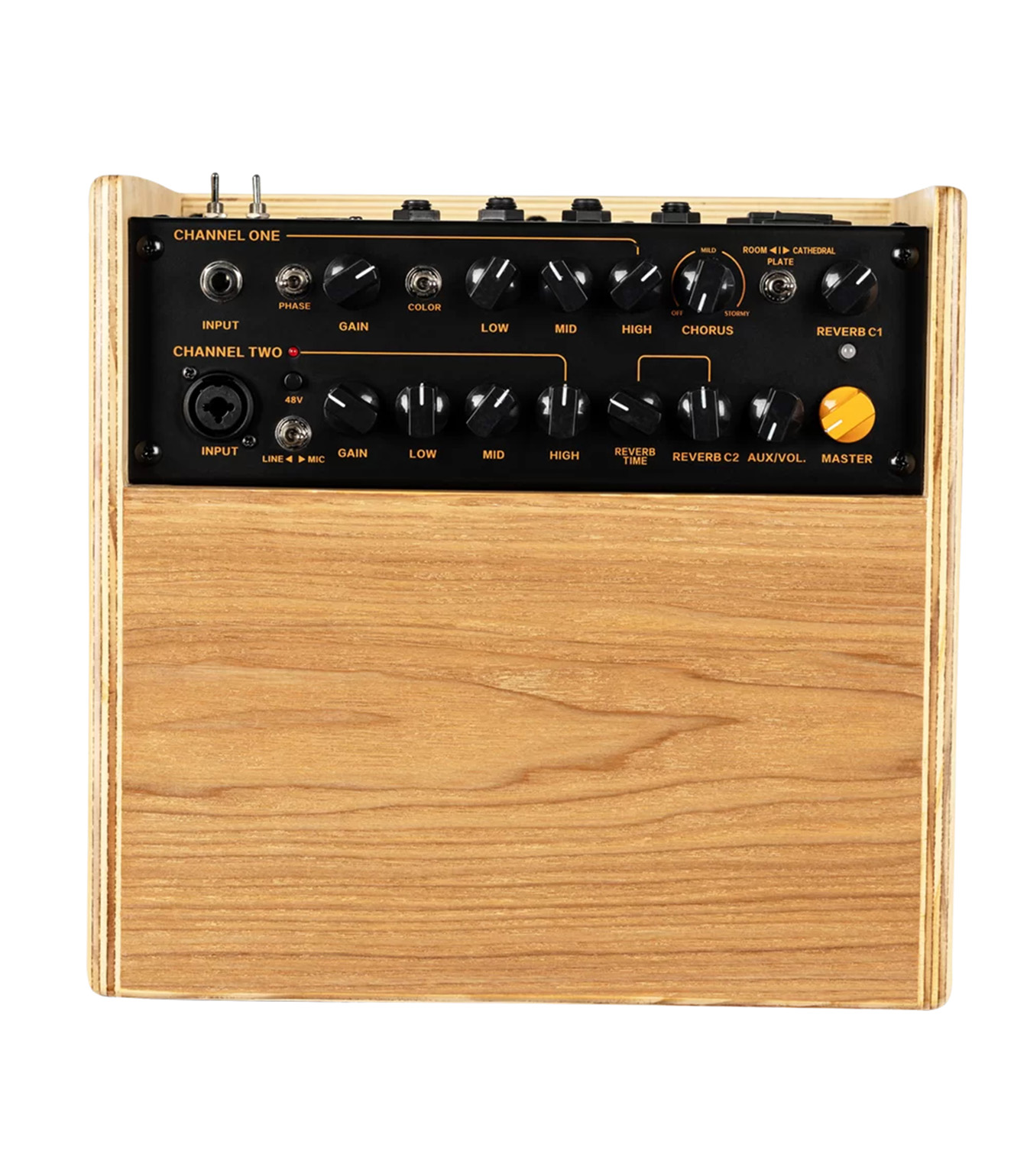 CONE ASH Acoustic Combo 100W 2 CN REV Chorus Mic L - CONE-ASH - Melody House Dubai, UAE