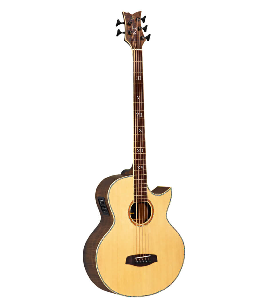 buy ortega ktsm 5 5 string signature series acoustic electric