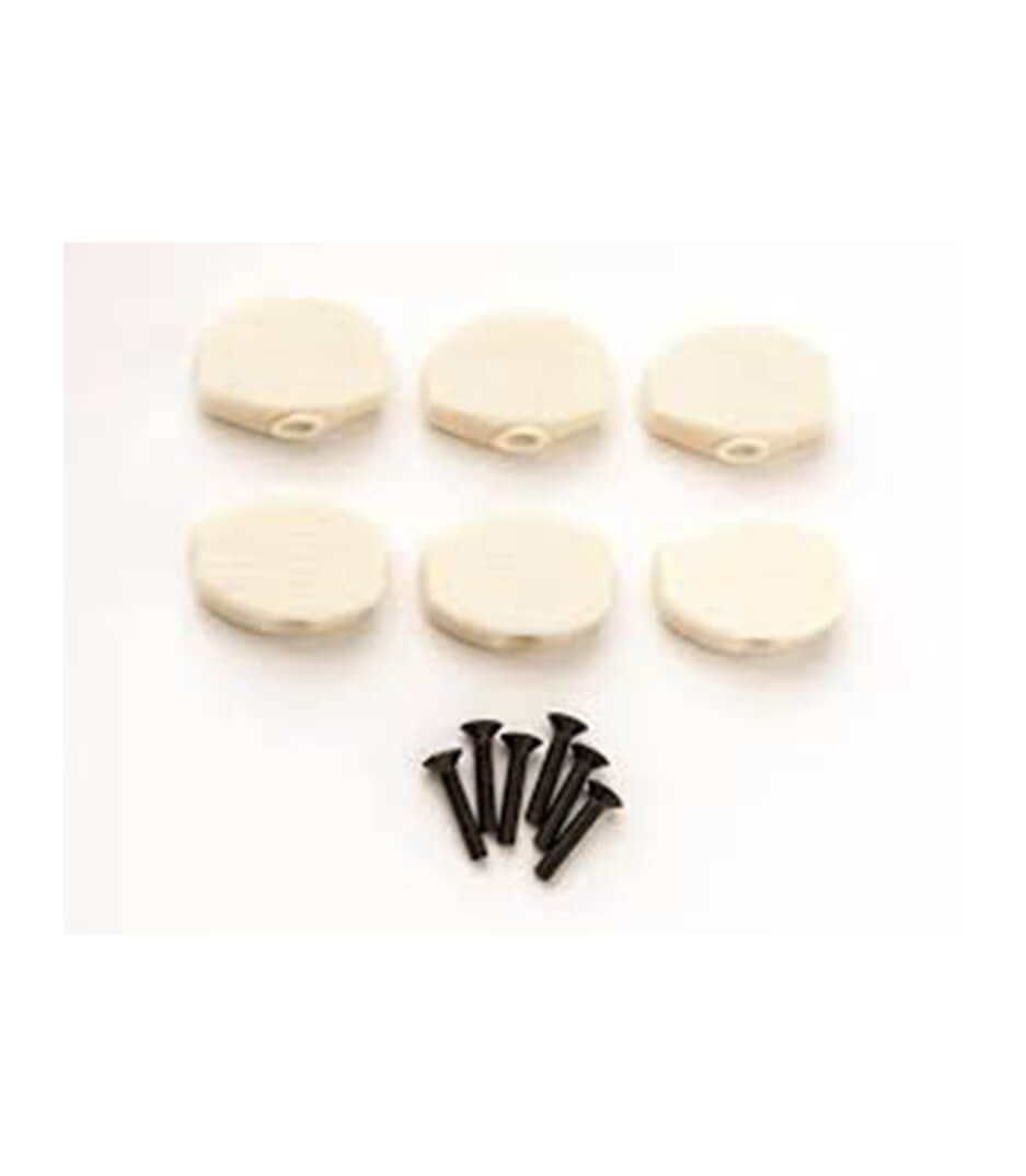 buy prs 101676 b 003 phase ii iii tuner buttons faux bone 