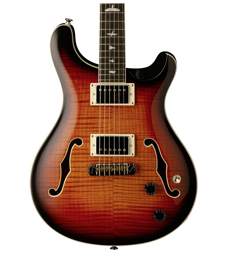 PRS - H2ECBTC - Melody House Musical Instruments