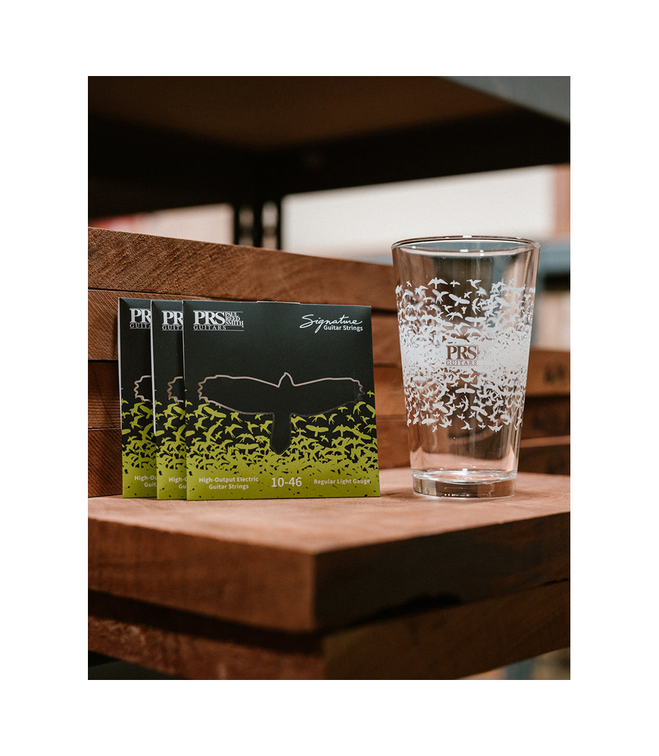 113186 003 005 019 Pint Glass with 2 Sets of Signa - 113186:003:005:019 - Melody House Dubai, UAE