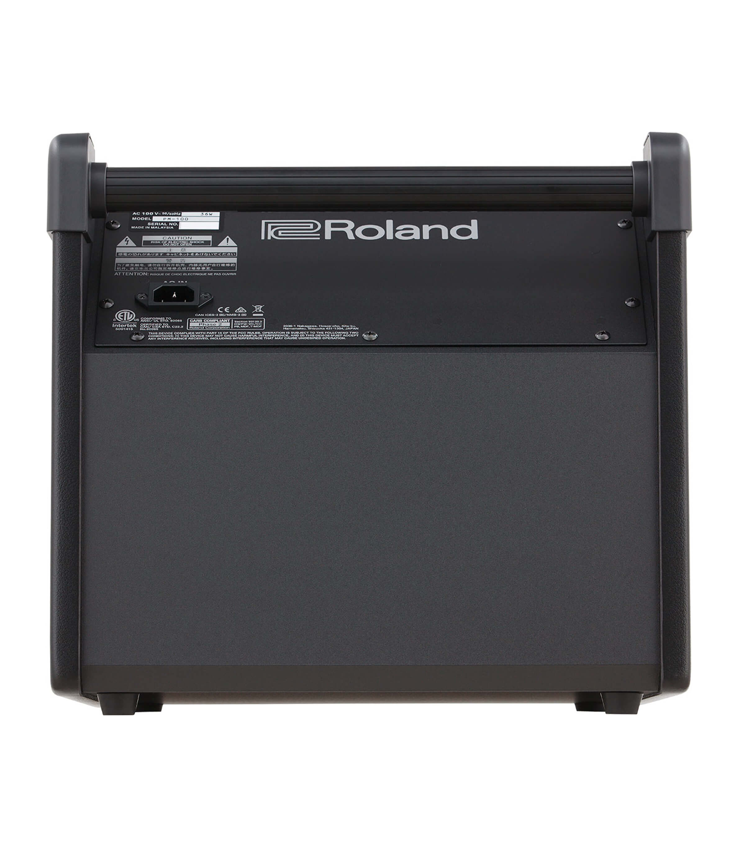 Roland PM 100 Personal Monitor - PM-100 - Melody House Dubai, UAE