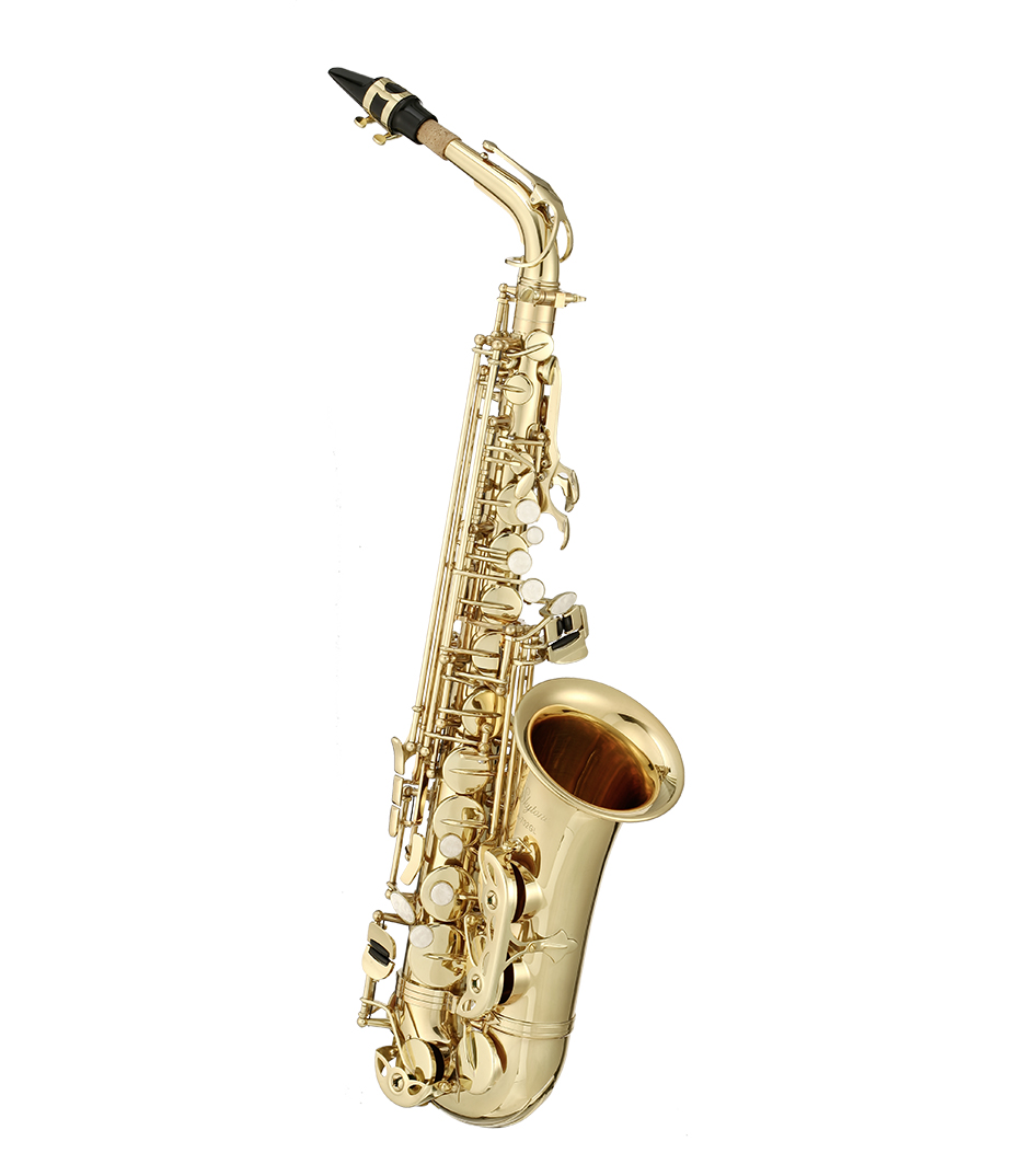 Skytone - A 702GL Eb Alto Saxophone Gold Lacquer w soft case