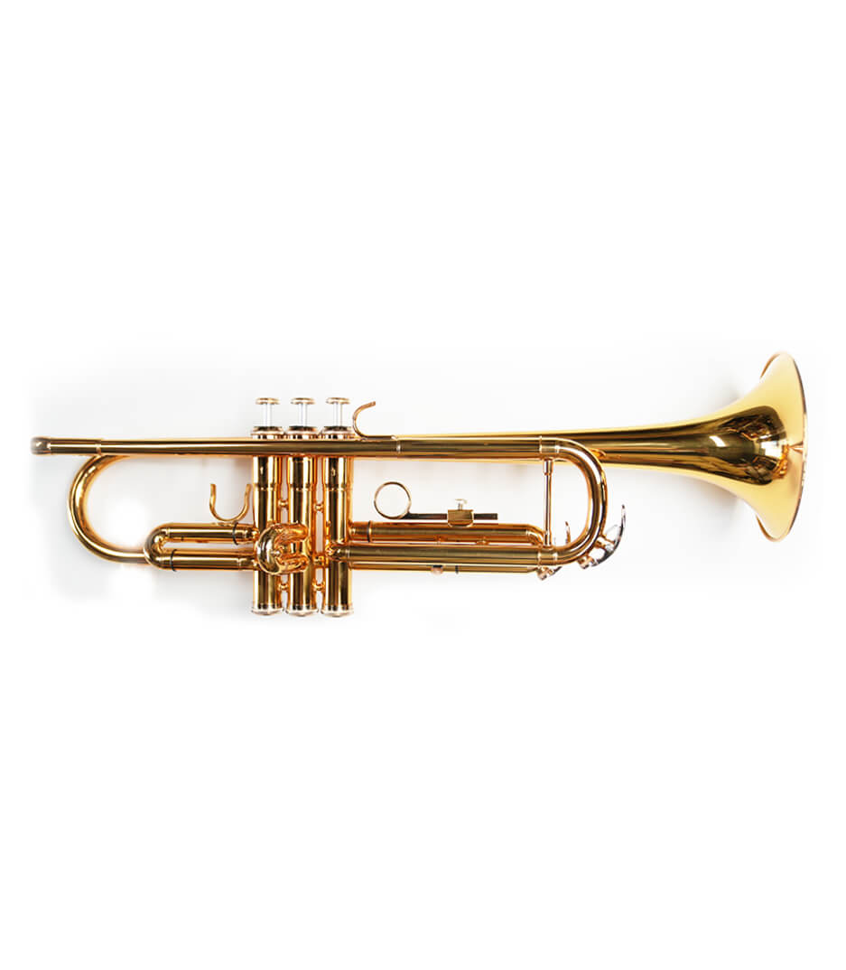 Skytone - STR 501 Skytone Bb Trumpet Gold Lacquer with soft