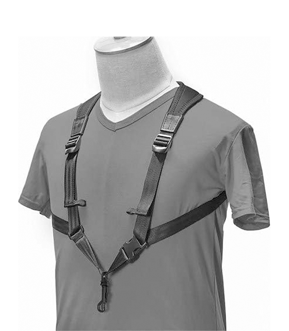 Buy Online HARNESS J BK - Stagg 