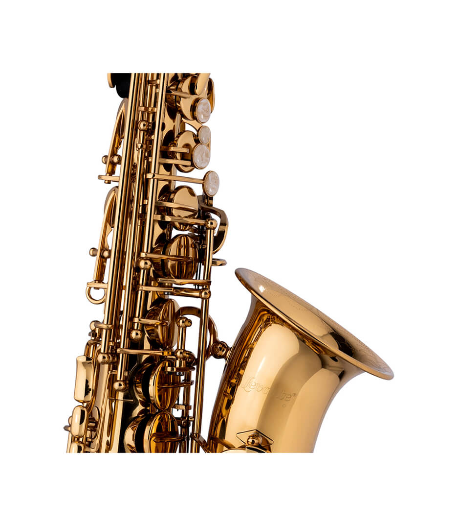 LV AS4105 Eb ALTO SAX HIGH F SOFT CASE - LV-AS4105 - Melody House Dubai, UAE