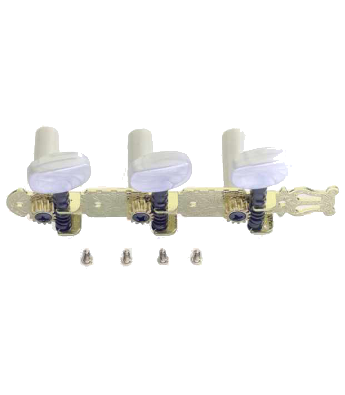 Stagg - SP-MHCL-GD - Melody House Musical Instruments