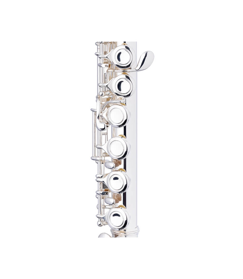 Buy Online WS-FL211S - Stagg